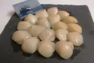 Poids coquille Saint Jacques