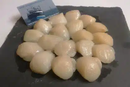 Poids coquille Saint Jacques