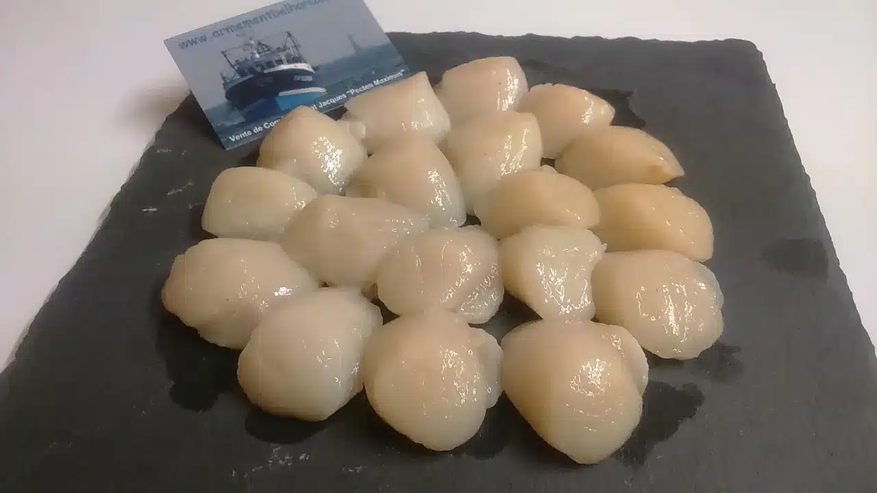 Poids coquille Saint Jacques