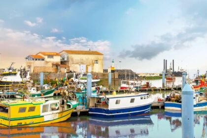 Que faire à Oléron