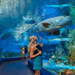 Plus grand aquarium du monde