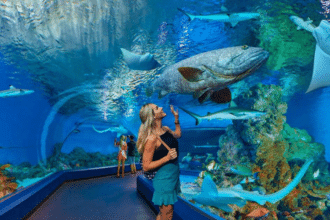 Plus grand aquarium du monde
