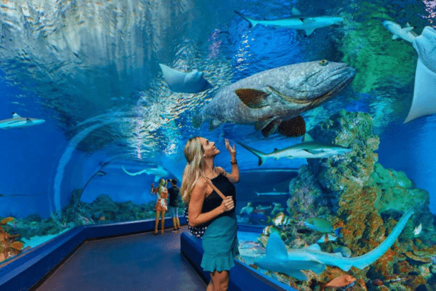 Plus grand aquarium du monde