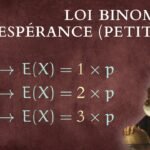 Espérance loi binomiale
