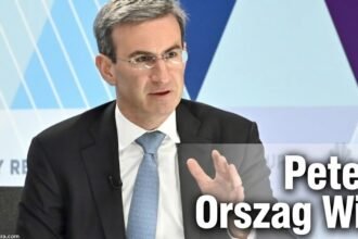 Peter Orszag Wig