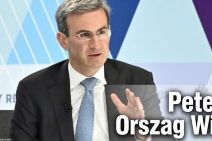 Peter Orszag Wig