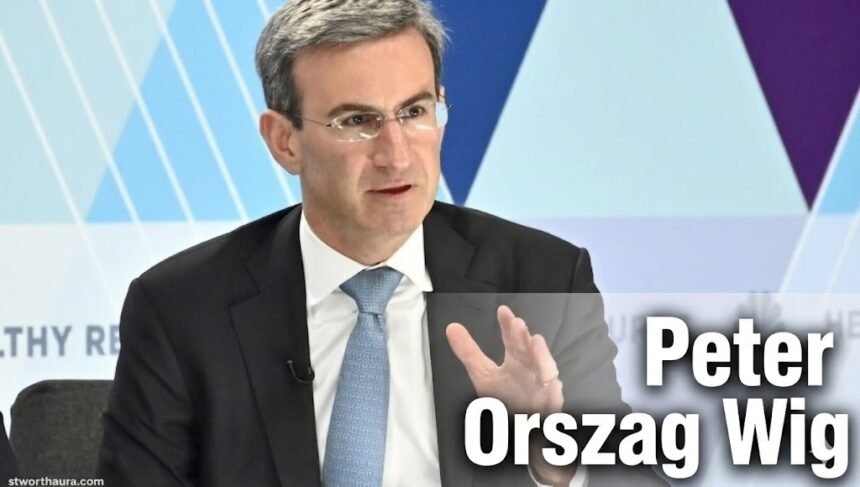 Peter Orszag Wig